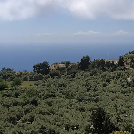 Summer House Lejlighed